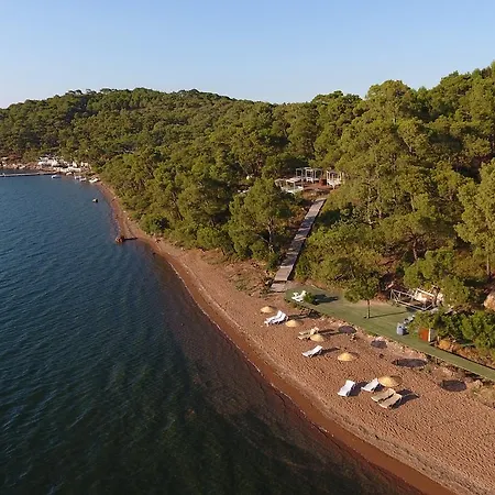 Pusula Ayvalı