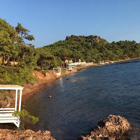 Pusula *
